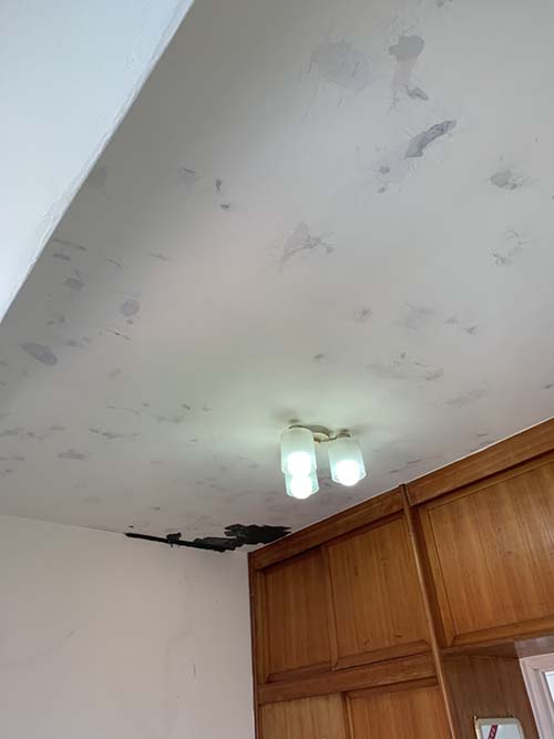 �T���o��