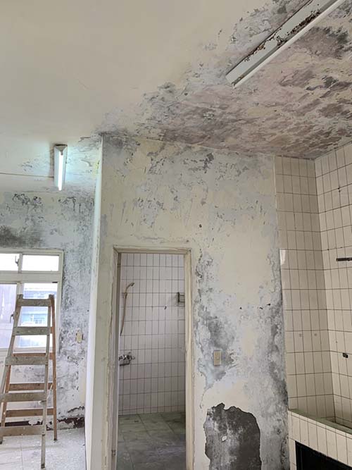 �s�������B�z�W��