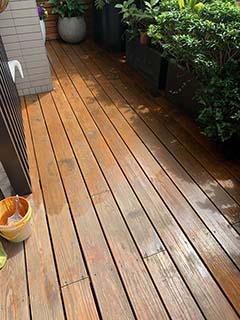 ¤¤©M«n¤èªQ«O¾i¤Wº£