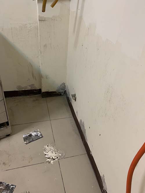 �T���o��