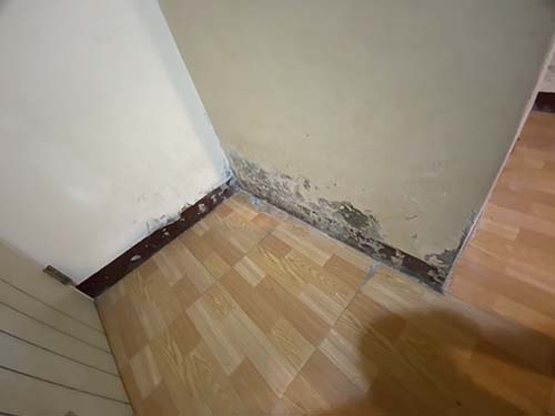 �T���o��