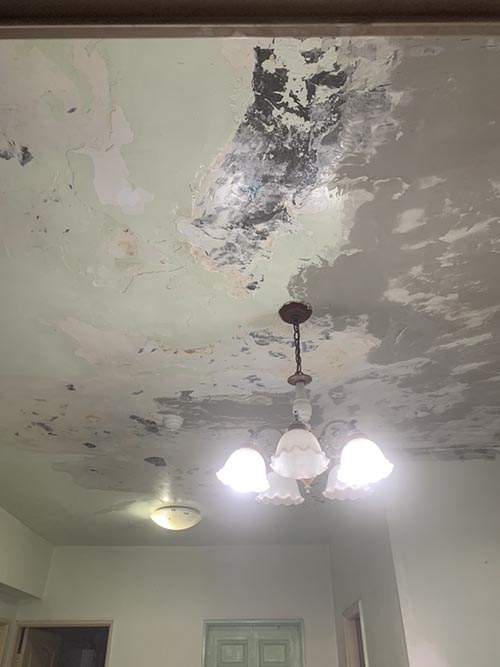 ���M�o��