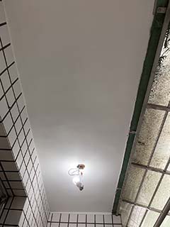 �g���o��