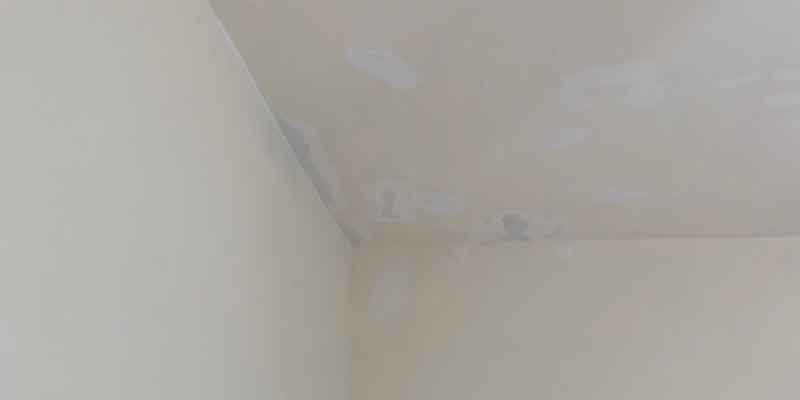 �x�_�o����