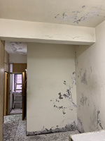 Ī�{�o����-�Ǥ���������