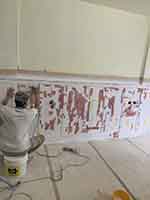 �T���o����-���Y�d�N���I�@ �����T���ɤg���i